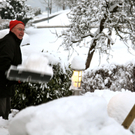 koe-Winter20100128- 9.jpg