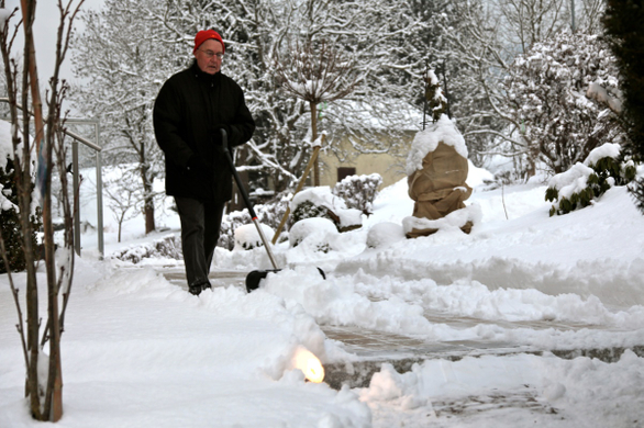 koe-Winter20100128- 10.jpg