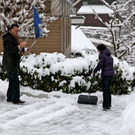 koe-Winter20100128- 11.jpg