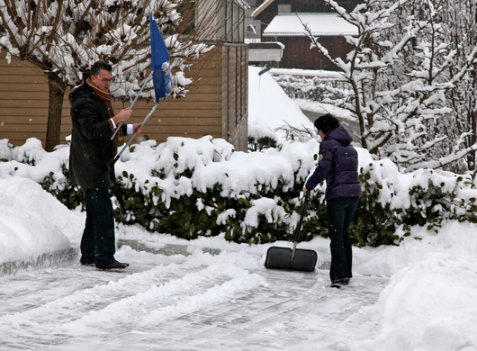 koe-Winter20100128- 11.jpg