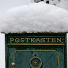 koe-Winter20100128- 14.jpg