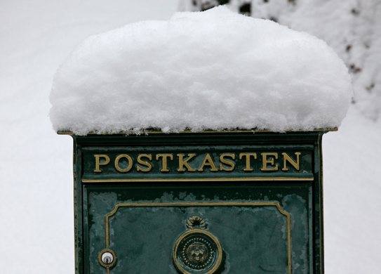 koe-Winter20100128- 14.jpg