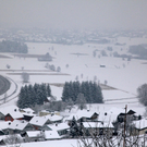 koe-Winter20100128- 15.jpg