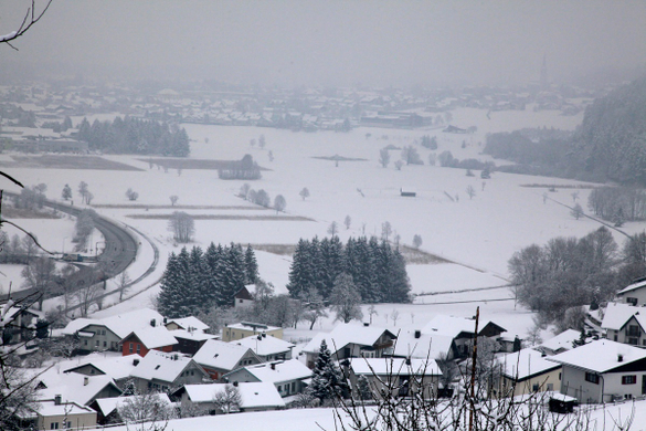 koe-Winter20100128- 15.jpg
