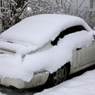 koe-Winter20100128- 20.jpg