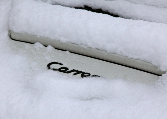 koe-Winter20100128- 21.jpg
