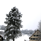koe-Winter20100128- 22.jpg