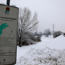 koe-Winter20100128- 23.jpg