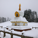 koe-Winter20100128- 25.jpg