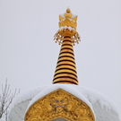 koe-Winter20100128- 26.jpg