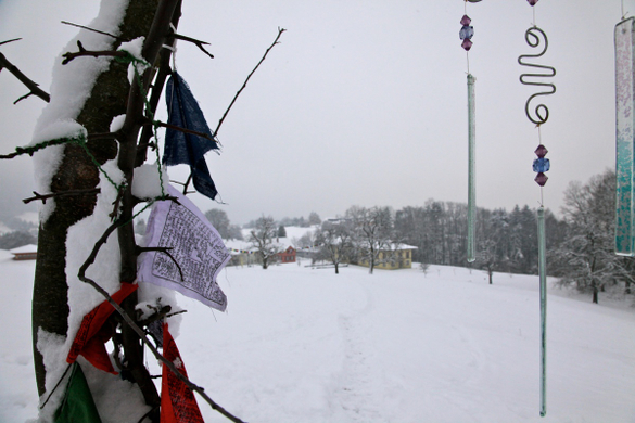 koe-Winter20100128- 27.jpg
