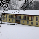 koe-Winter20100128- 30.jpg