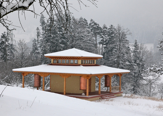 koe-Winter20100128- 29.jpg