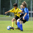 file65jrpqnvc1w19fvhid4b.jpg