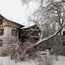 koe-Winter20100128- 37.jpg