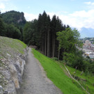 DSCN6681_JPG-1342186252