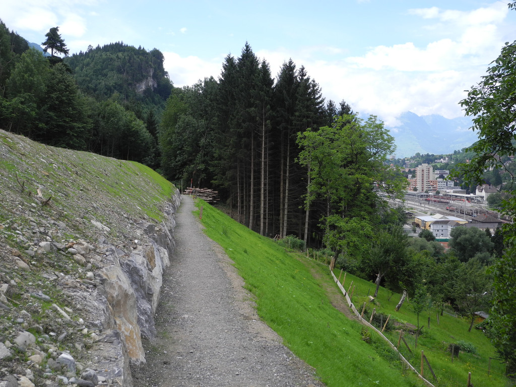 DSCN6681_JPG-1342186252