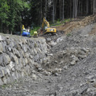 DSCN6687_JPG-1342186441