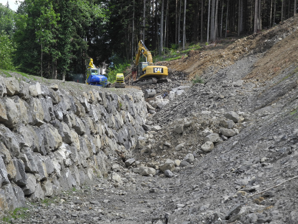 DSCN6687_JPG-1342186441