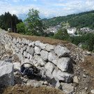 DSCN6690_JPG-1342186528