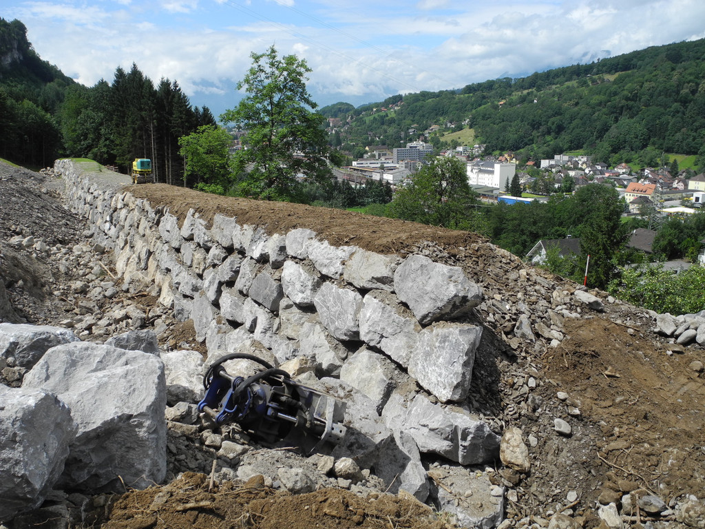 DSCN6690_JPG-1342186528