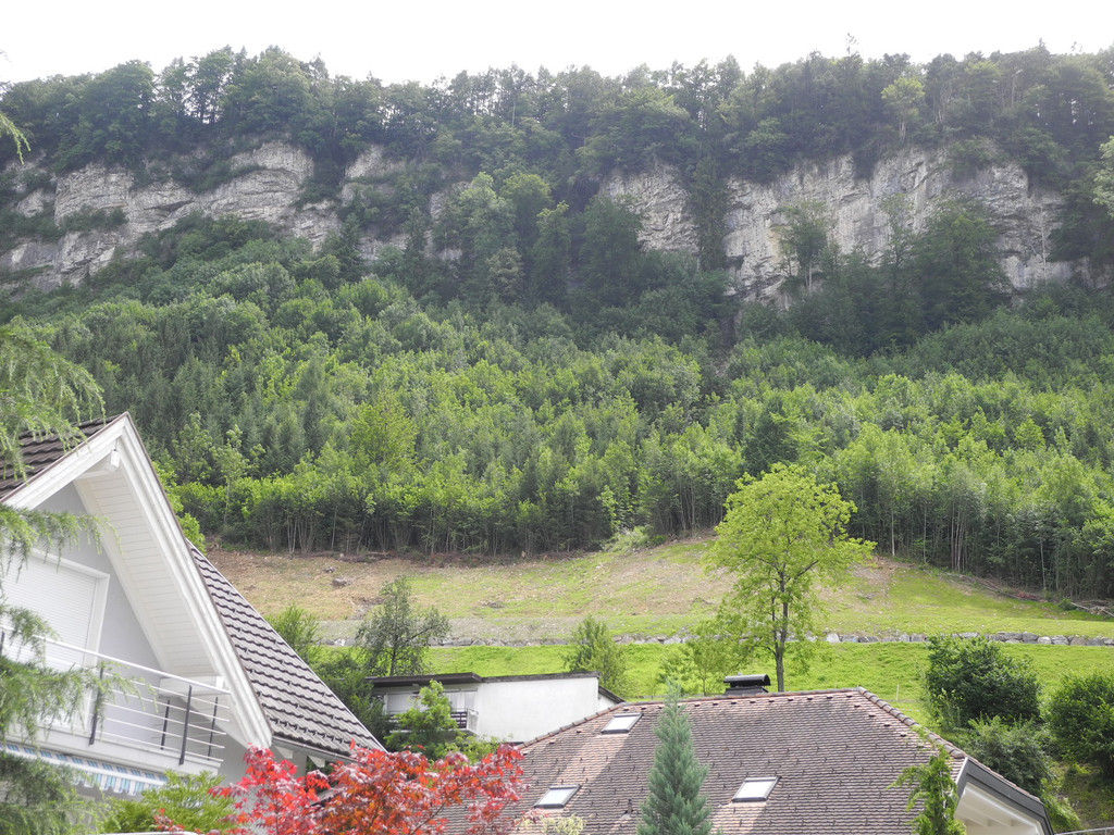 DSCN6700_JPG-1342186696