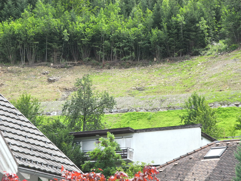 DSCN6701_JPG-1342186724