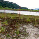 KOE_Egelsee Exkursion 18_jpg-1342209796