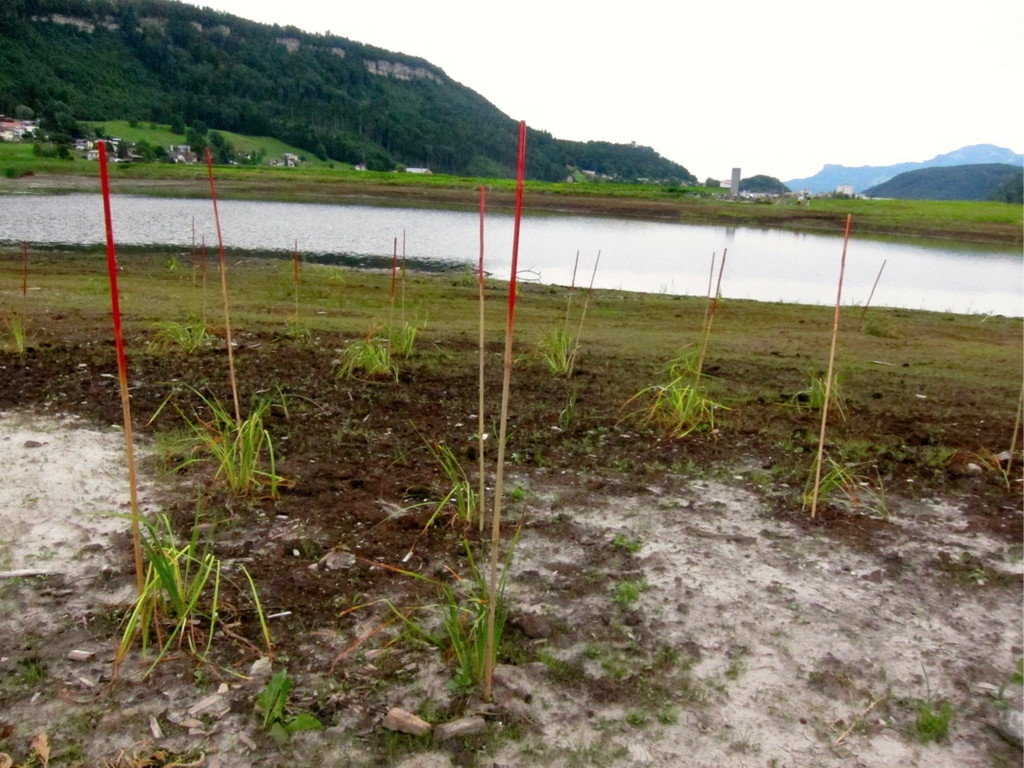 KOE_Egelsee Exkursion 18_jpg-1342209796