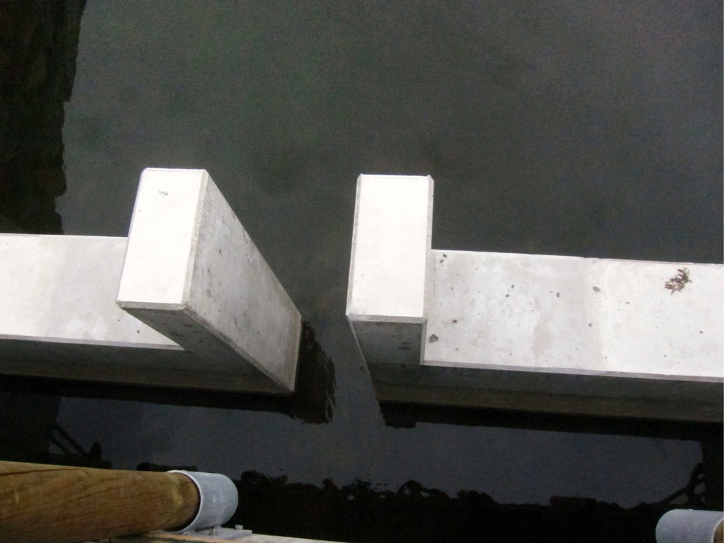 KOE_Egelsee Exkursion 21_jpg-1342209814