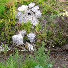 KOE_Egelsee Exkursion 24_jpg-1342209836