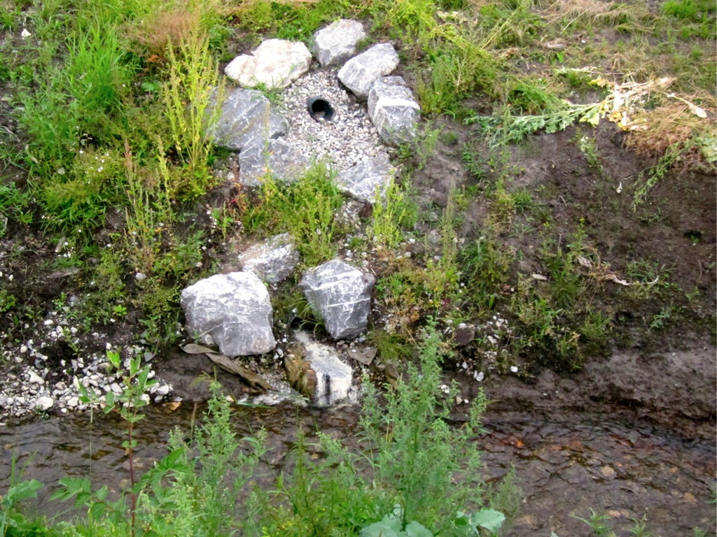 KOE_Egelsee Exkursion 24_jpg-1342209836