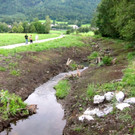 KOE_Egelsee Exkursion 25_jpg-1342209846