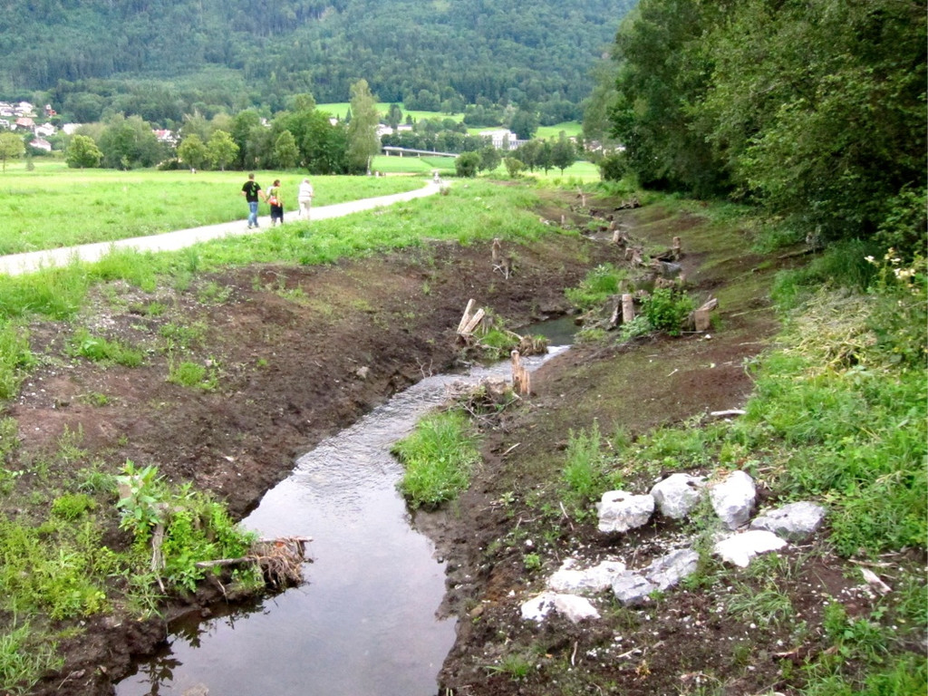 KOE_Egelsee Exkursion 25_jpg-1342209846