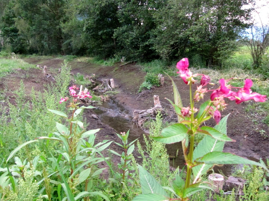 KOE_Egelsee Exkursion 26_jpg-1342209855