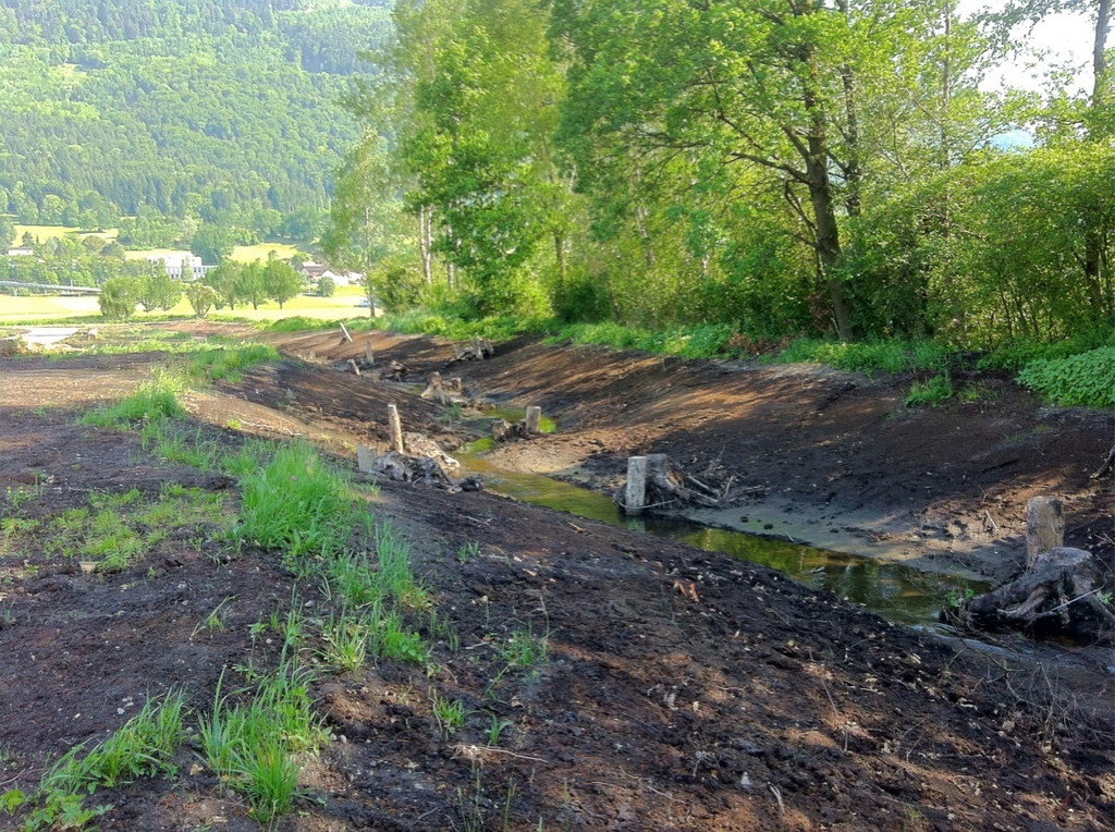 KOE_Egelsee Exkursion 27_jpg-1342209866