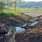 KOE_Egelsee Exkursion 28_jpg-1342209876