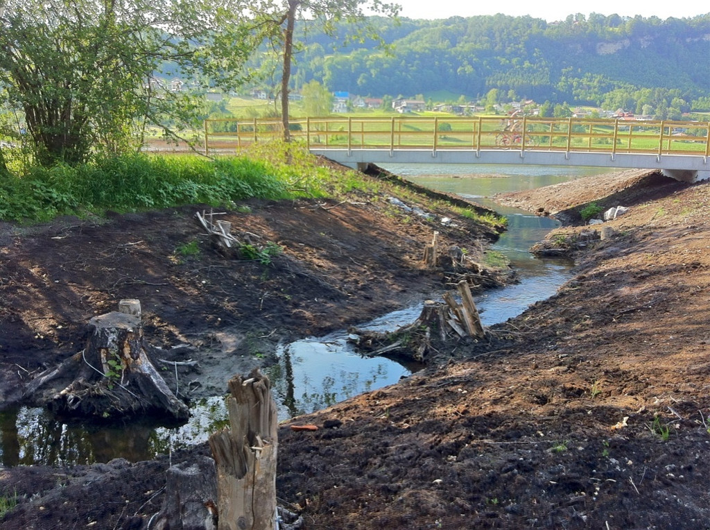 KOE_Egelsee Exkursion 28_jpg-1342209876