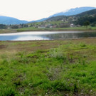 KOE_Egelsee Exkursion 29_jpg-1342209884