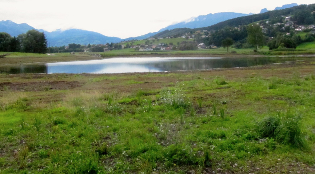 KOE_Egelsee Exkursion 29_jpg-1342209884