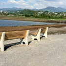 KOE_Egelsee Exkursion 30_jpg-1342209894