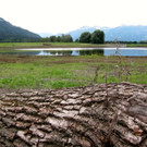 KOE_Egelsee Exkursion 32_jpg-1342209911