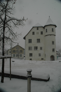DSC_0478.JPG