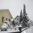 Schnee08.jpg