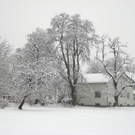 Schnee16.jpg