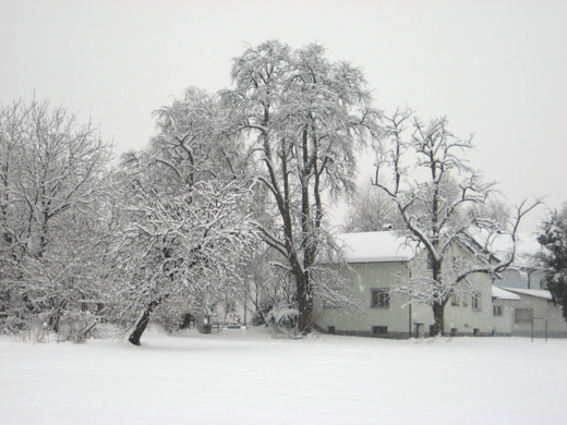 Schnee16.jpg
