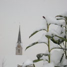 Schnee19.jpg