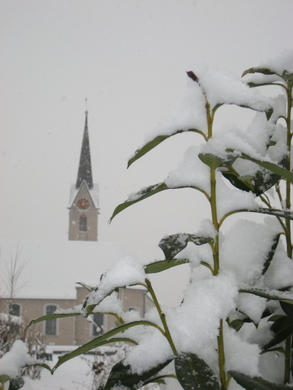 Schnee19.jpg
