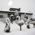 Schnee25.jpg