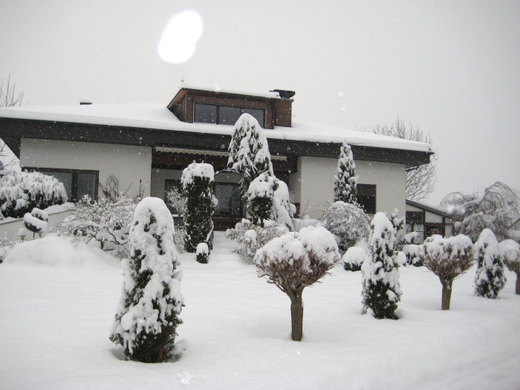 Schnee25.jpg